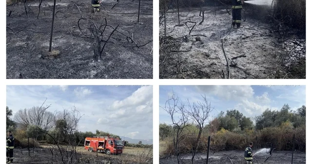 Muğla da üzüm bağları alevlere teslim oldu Muğla Haberleri
