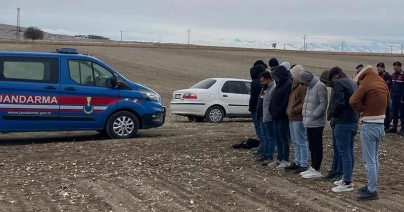 Köpek dövüştürecekler ihbarı ekipleri alarma geçirdi: 19 kişi yakalandı