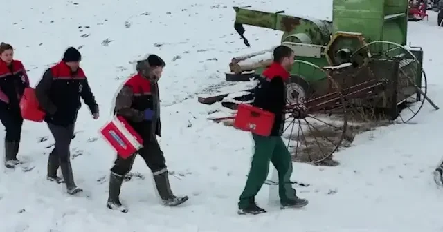 Kars’ta veteriner hekimler zorlu kış şartlarında sahada VİDEO İZLE