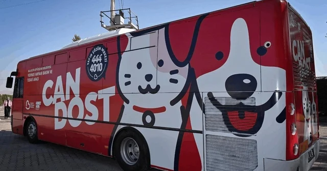 Can Dost Aralık Ocak programına Bigadiç ten başladı Patili Canlar için 20 günde 20 ilçe ziyareti Balıkesir Haberleri