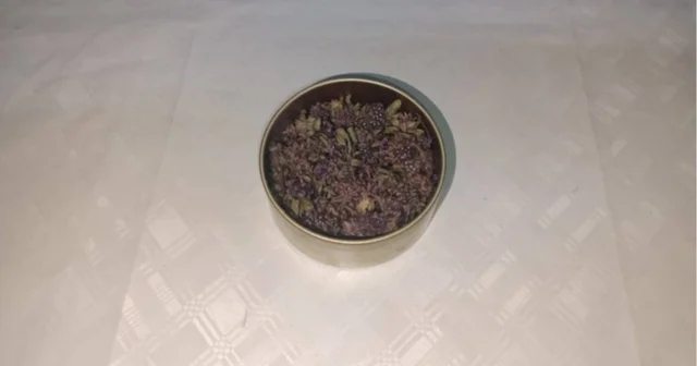 Artvin de endemik yayla çayı çiçeği kaçakçılığına Jandarma engeli Artvin Haberleri