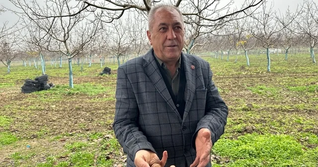 Cevizle yaşam şartları değişen köyde İstanbullular da bahçe kuruyor Dönümü 500 bin liraya ulaşan ceviz bahçelerine yatırım yapıyorlar Bursa Haberleri