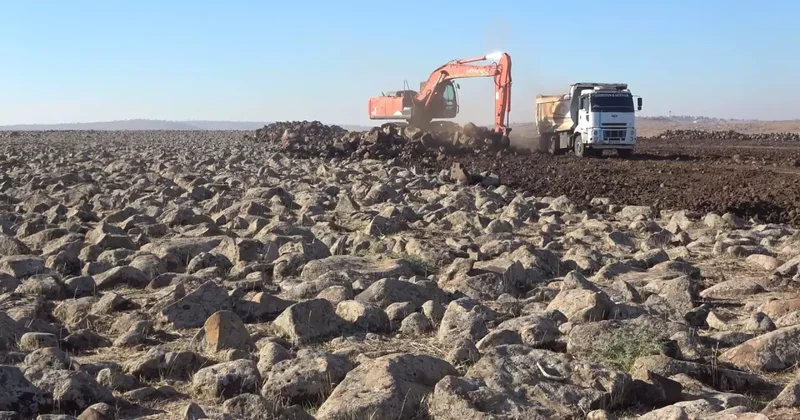 Şırnak’ta atıl araziler milli servete dönüştü