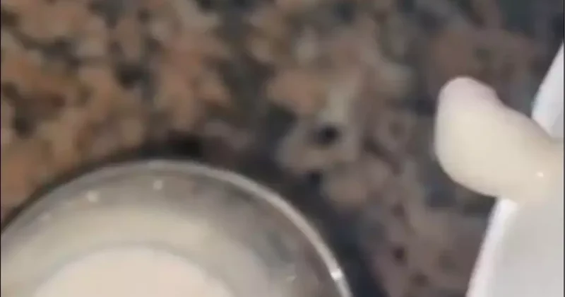 3 harfli markette skandal! Az kalsın çocuğuna yedirecekti