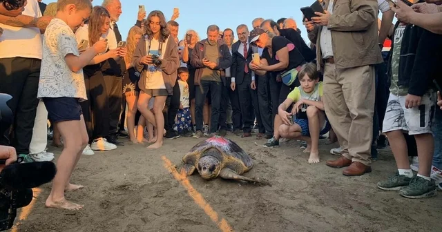 Caretta caretta Cumhuriyet i 9 bin kişi izledi Muğla Haberleri
