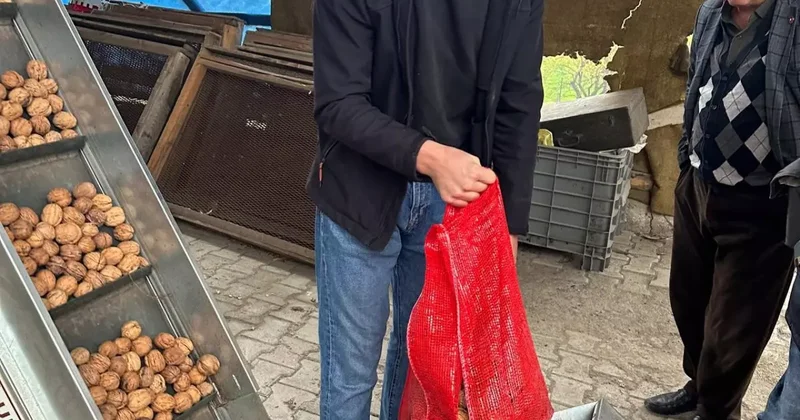 Tütünü bıraktılar hayatları değişti! Fiyatı uçtu, kapış kapış gidiyor!