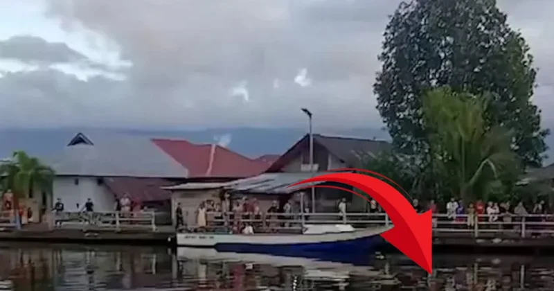 10 yaşındaki çocuğu herkesin gözü önünde canlı canlı yuttu Sözcü Gazetesi