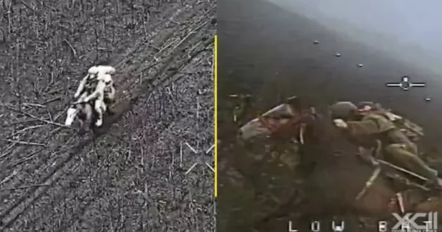 Atlı piyadelerin drone ile imtihanı... Ukrayna Rusya savaşında o anlar