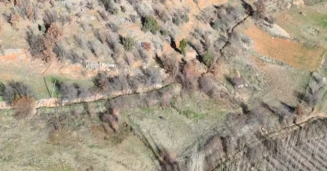 Nurhak ta yaban domuzu avı yapıldı Kahramanmaraş Haberleri