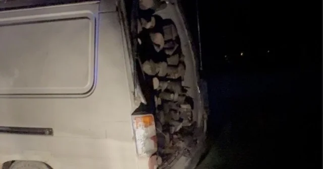 Gönen ve Manyas sınırında odun hırsızlığına suçüstü Balıkesir Haberleri