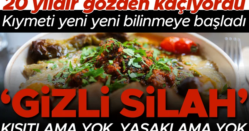 20 yıldır gözden kaçıyordu, kıymeti yeni yeni bilinmeye başladı: Gizli silah! Kısıtlama yok, yasaklama yok...
