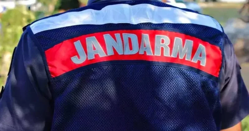 Artvin de bitki kaçakçılığına 557 bin lira ceza