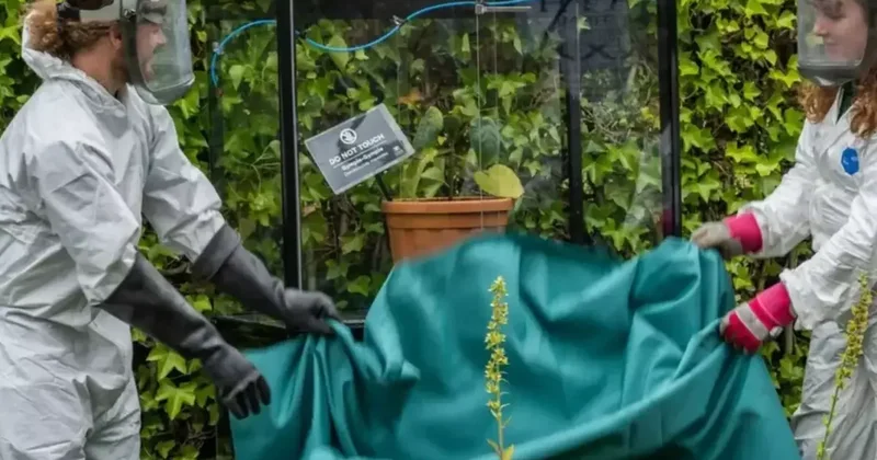 Özel güvenlik kafesinde tutuluyor, bir dokunanı acısıyla intihara sürüklüyor