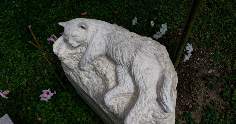 Ölen kedisi için yas iznine ayrılan çalışanı kovan işyerine tazminat şoku! Sözcü Gazetesi