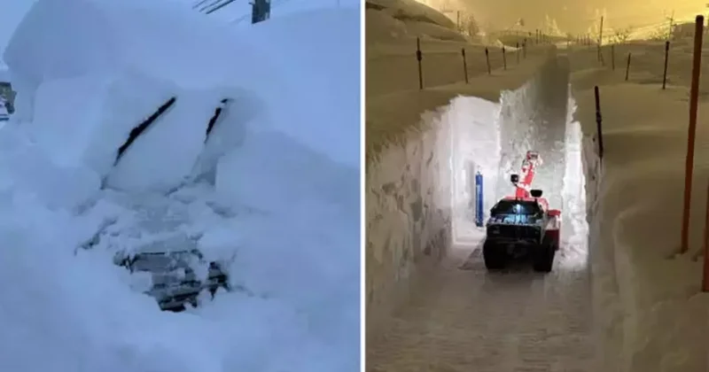 Japonya da şiddetli kar yağışı can aldı