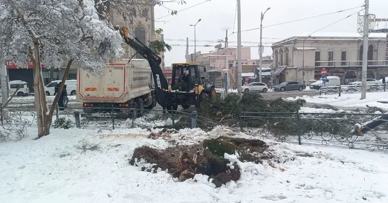 Karın ağırlığına dayanamayan ağaçlar devrildi