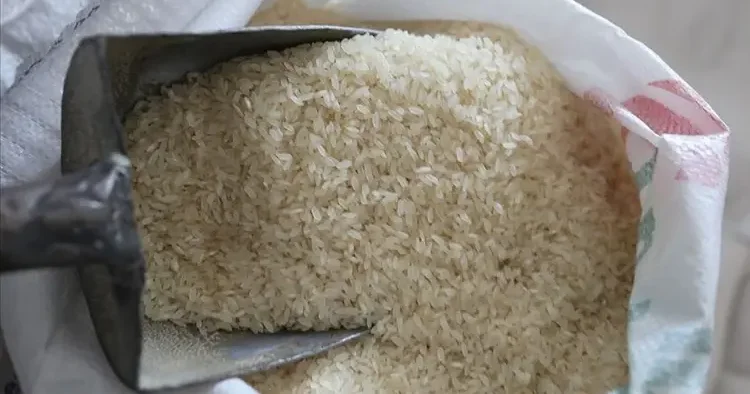 Pirinç alım fiyatları açıklandı