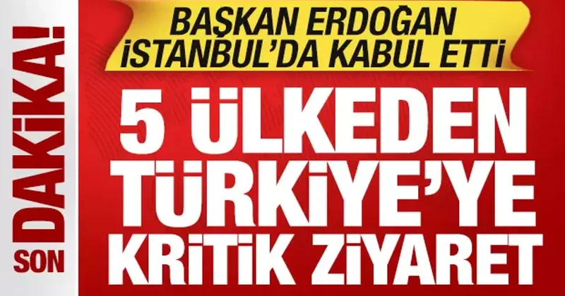 Cumhurbaşkanı Erdoğan İstanbul da kabul etti: 5 ülkeden Türkiye ye kritik ziyaret