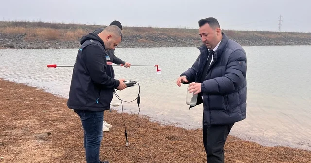 Tekirdağ da gölette toplu balık ölümleri: Sudan numune alındı Tekirdağ Haberleri