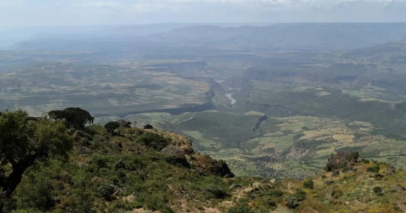 Dünyanın en küçük memeli yaratığı keşfedildi: Şeker küpü kadar Sözcü Gazetesi