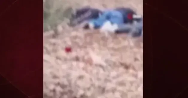 YPG/SDG’li teröristlerin öldürdükleri sivilleri saydığı görüntüler ortaya çıktı