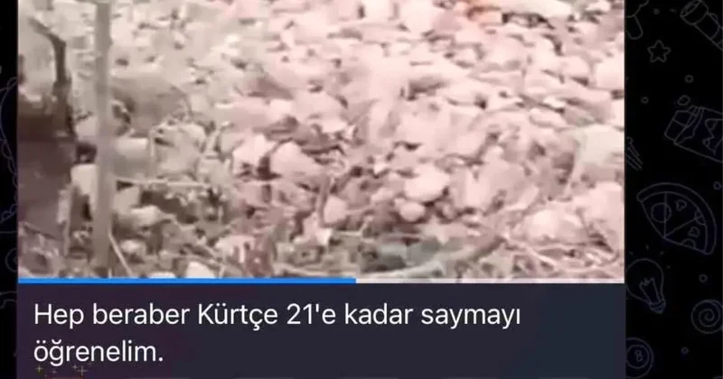 SDG li Teröristler Civilleri Kayda Aldı