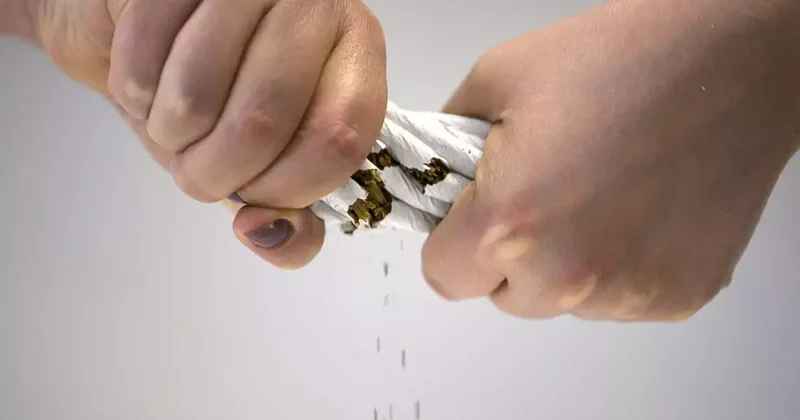 Cumhurbaşkanlığı Sağlık Politikaları Kurulu Üyesi: Bir paket sigara 300 TL olmalı