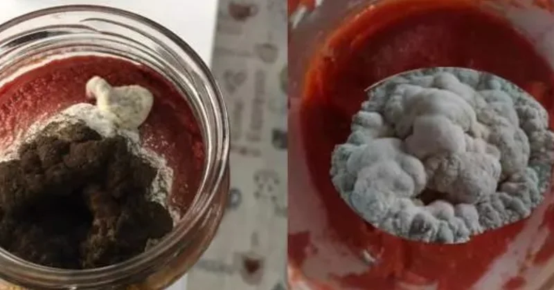 Salça aylar geçse de ne küfleniyor ne bozuluyor: Aşçıların sırrıymış Sözcü Gazetesi