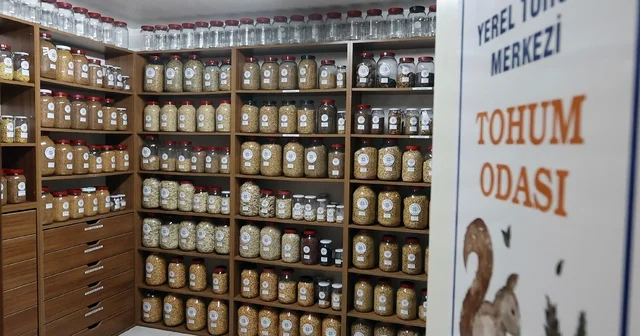 Muğla Büyükşehir 2026 yılında 3 milyon ata tohumu dağıtacak Muğla Haberleri