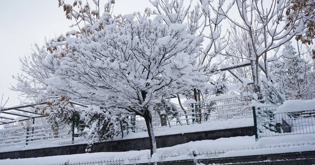 Şırnak ta kardan 35 köy yolu kapandı, uçuşlar iptal edildi Şırnak Haberleri