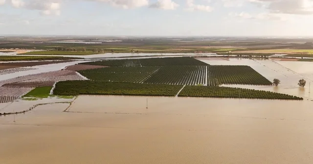 Tarsus Belediyesi sel ve fırtına sonrası zarar tespiti için sahada Mersin Haberleri