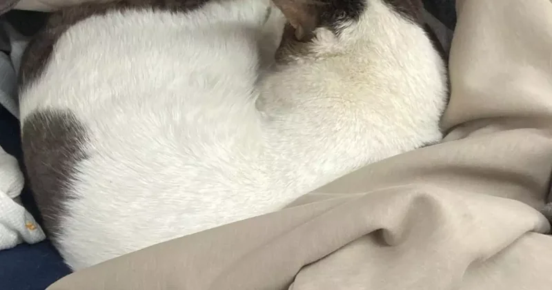 Zincir marketteki skandal görüntülerin ardı arkası kesilmiyor