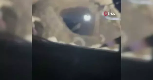 Hatay da define tutkusunun sonu kötü bitti!