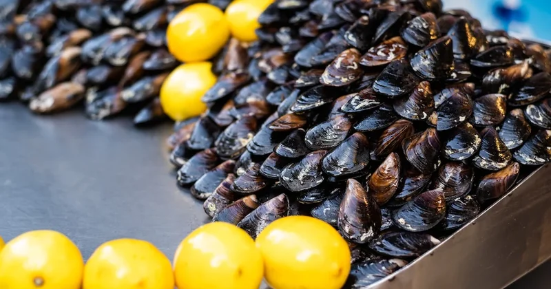 Midye severlere kötü haber! Çalışma ortaya çıkardı; iki virüs saptandı Sözcü Gazetesi