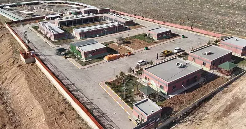 Şanlıurfa da 27 bin sokak köpeği, bakımevlerine götürüldü