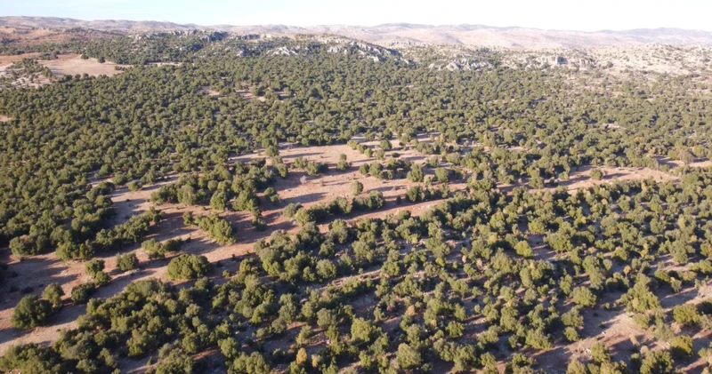 Deprem bölgesine 1,5 milyon Euro luk destek Teknoloji Haberleri