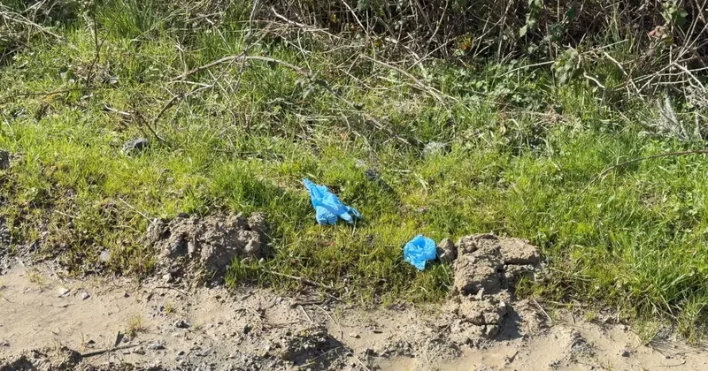 İstanbul da vahşet! Kayıp Çinli iş insanı toprağa gömülü bulundu