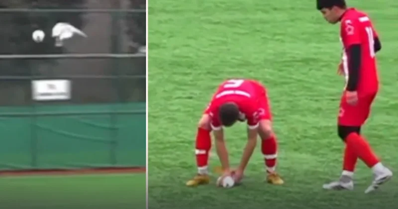 Uçan martıya top çarptı! Sahada kalp masajı yapıldı Sözcü Gazetesi