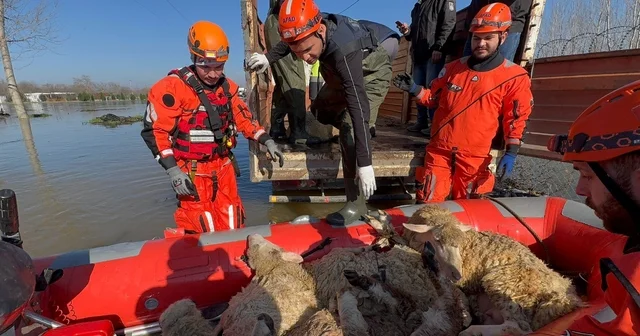 Çiftliklerde mahsur kalan hayvanlar botla kurtarılıyor Edirne Haberleri
