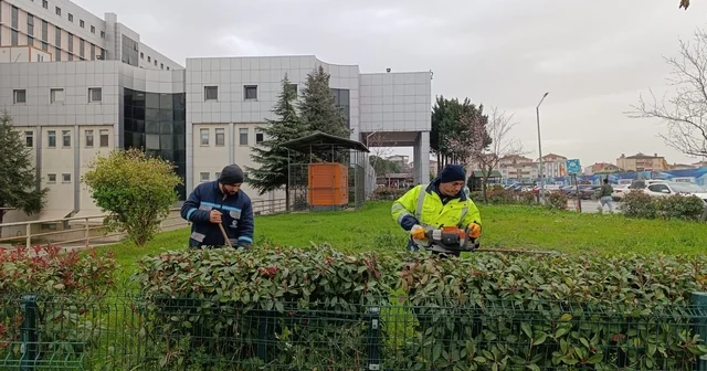 Hastane bahçelerinde budama ve bakım çalışması yapılıyor Kocaeli Haberleri
