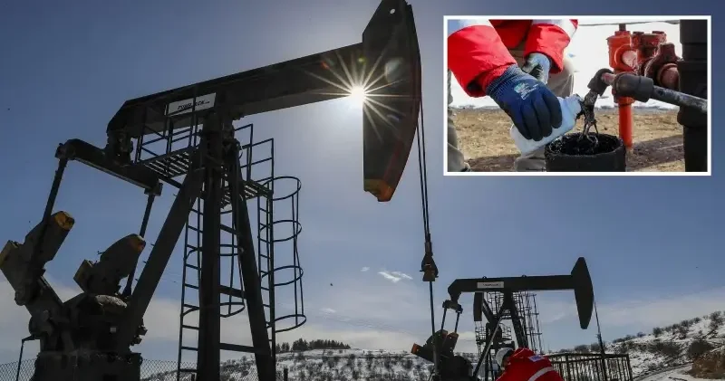 Güneydoğu daki 4 il Türkiye nin ham petrol üretiminin yüzde 28 ini karşılıyor Ekonomi Haberleri