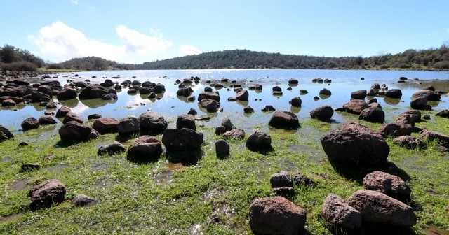 Geçen yıl tamamen kuruyan Tepegöl yeniden su tuttu Kuraklık nedeniyle kuruyan gölde doğal yaşam yeniden canlandı Manisa Haberleri