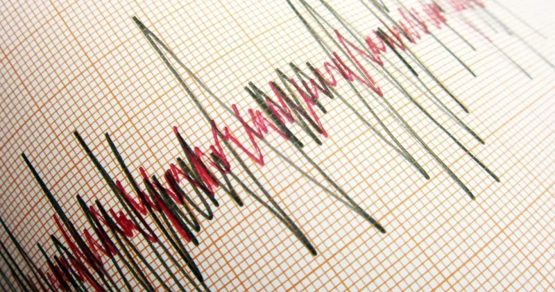 Kuşadası Körfezi nde deprem