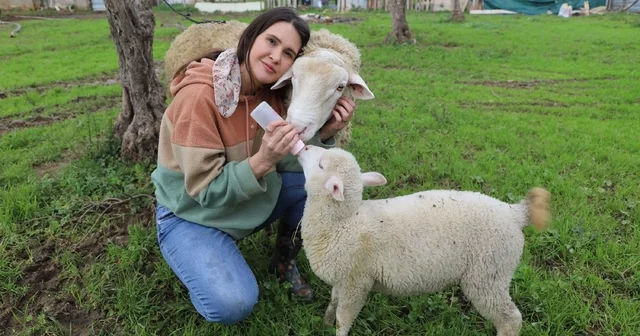 Acil serviste hastalara, çiftlikte hayvanlara şifa dağıtıyor İzmir Haberleri
