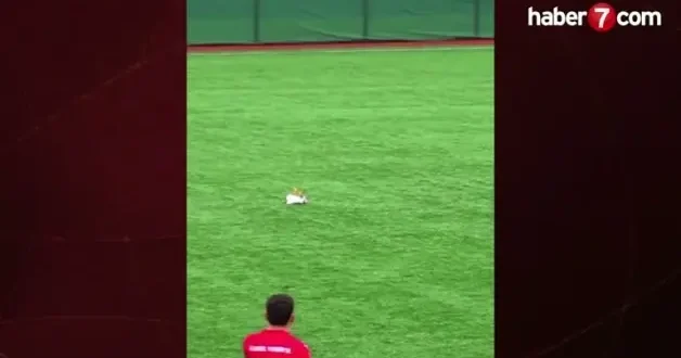 Futbol tarihinde görülmemiş olay: Kalecinin vurduğu top martıya çarptı!