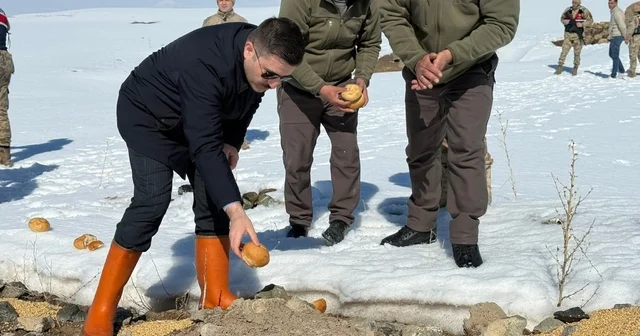 Özalp ilçesinde doğaya yem bırakıldı Van Haberleri
