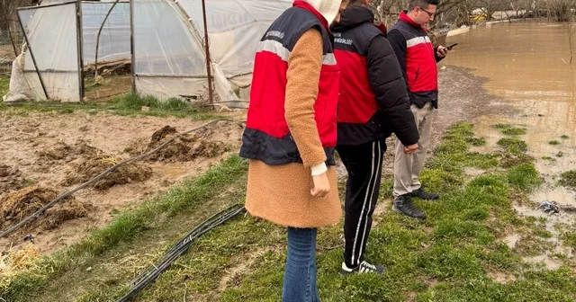 Emet te selden etkilenen arazilerde hasar tespiti Kütahya Haberleri