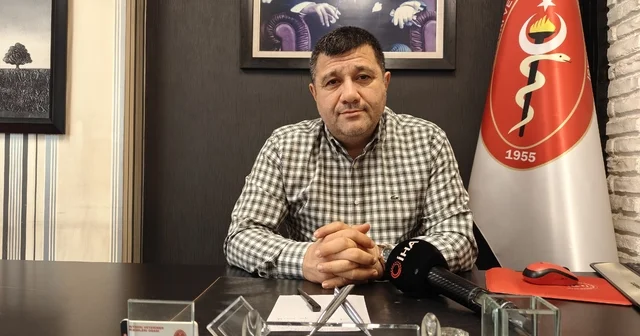 Haşerelerle mücadelenin tam zamanı Kayseri Veteriner Hekimler Odası Başkanı Akgün Ergül: Yaz gelmeden önlem alınırsa, haşere açısından yaz mevsimi daha rahat geçebilir Kayseri Haberleri