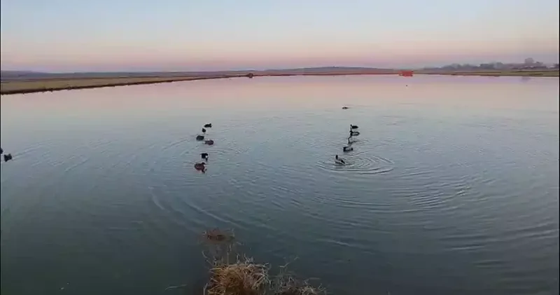 Edirne’de yasa dışı avlanan 4 avcıya 762 bin lira ceza