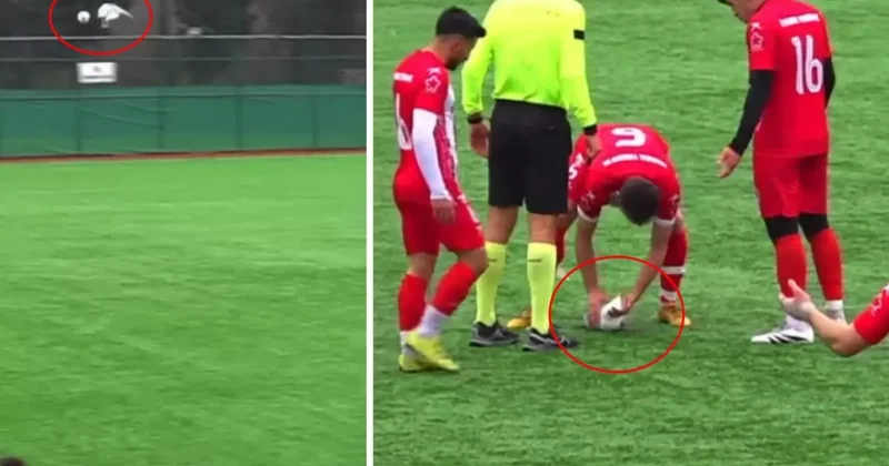 Sahalarda eşi benzeri görülmemiş olay! Top çarpan hayvanı kalp masajıyla hayata döndürdü